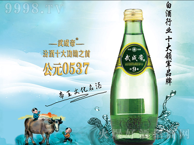 武成帝珍藏9清香型白酒【42度300ml】