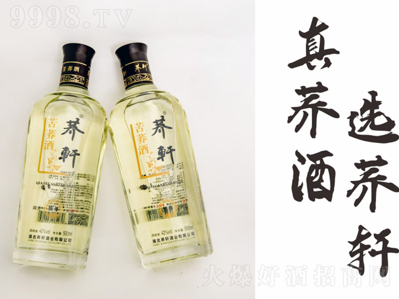 w܎wơwƿƿЪ(jing) wͰ׾ơ42 500ml-׾Ϣ