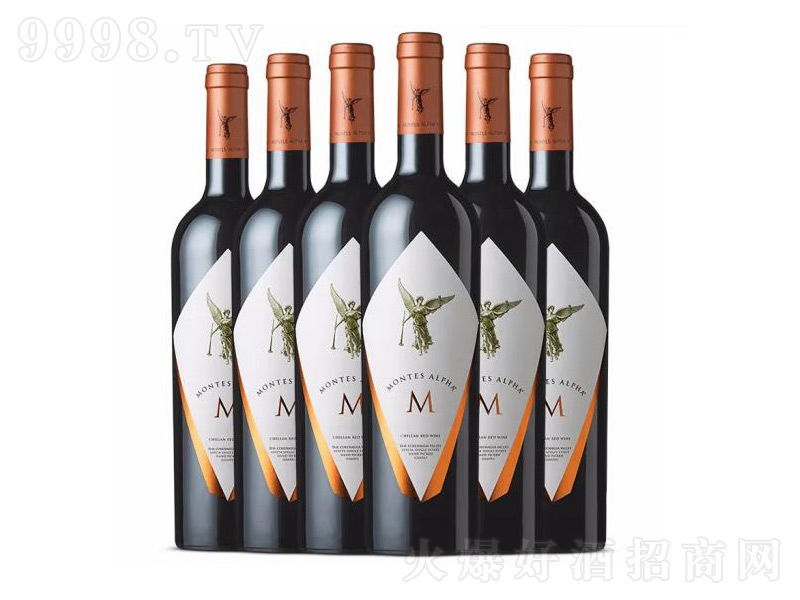智利原瓶進(jìn)口紅酒蒙特斯紅葡萄酒750ml